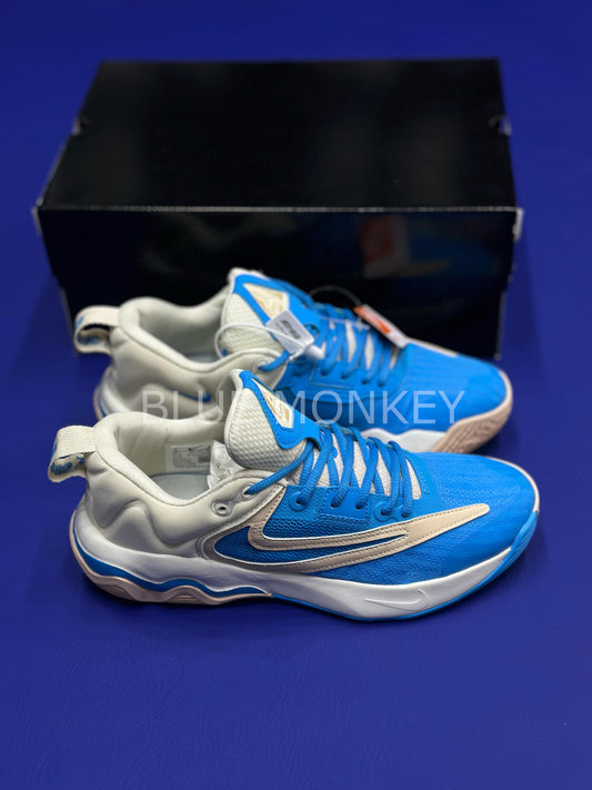 Nike Giannis Immortality 3 Blue