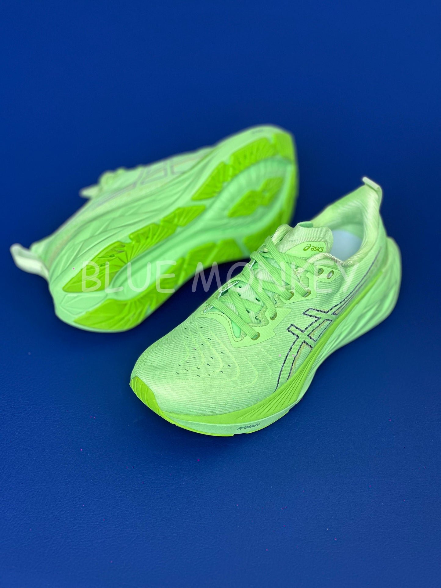Asics Novablast 4 H