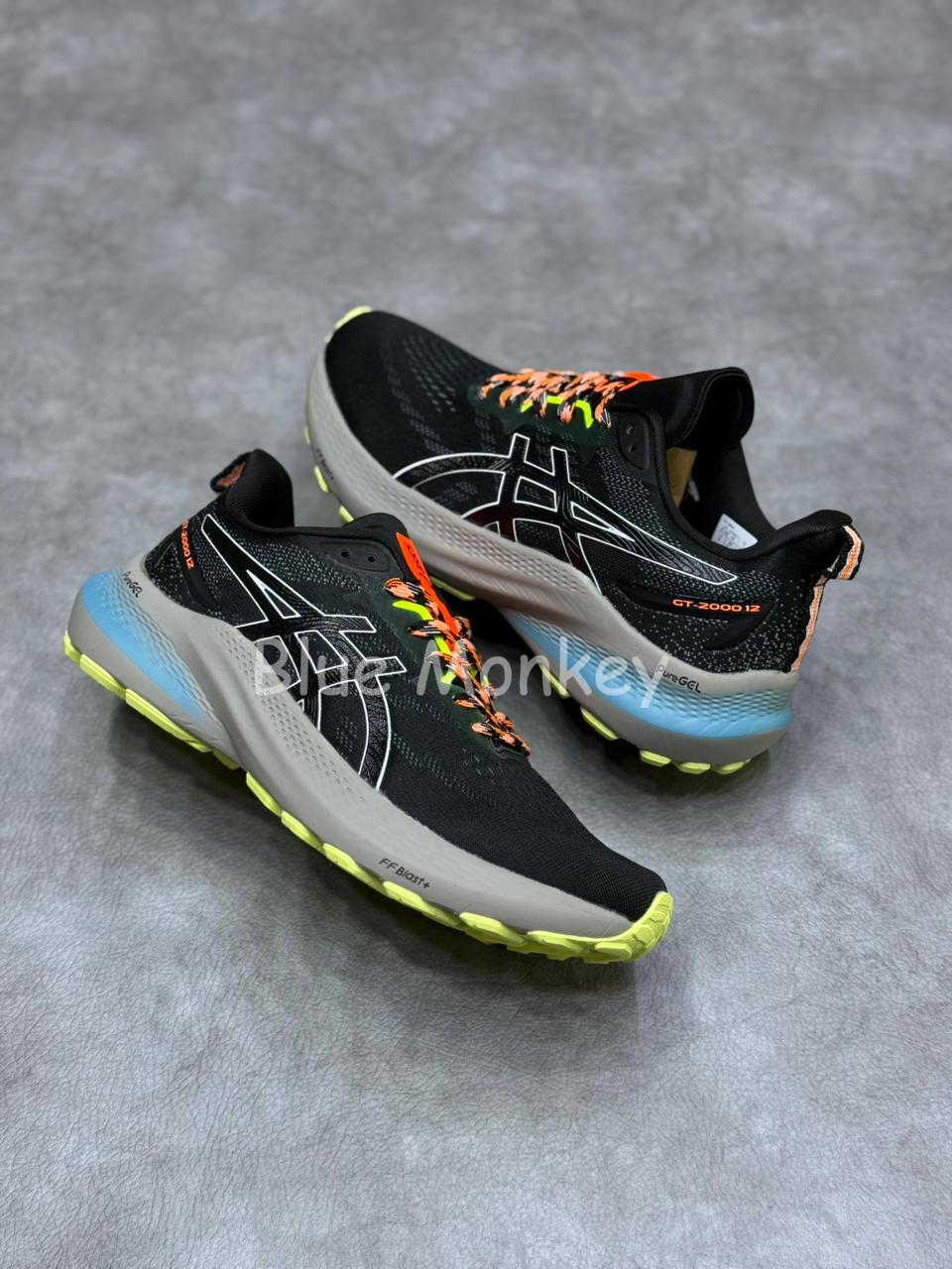 Asics GT 2000
