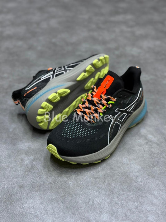 Asics GT 2000