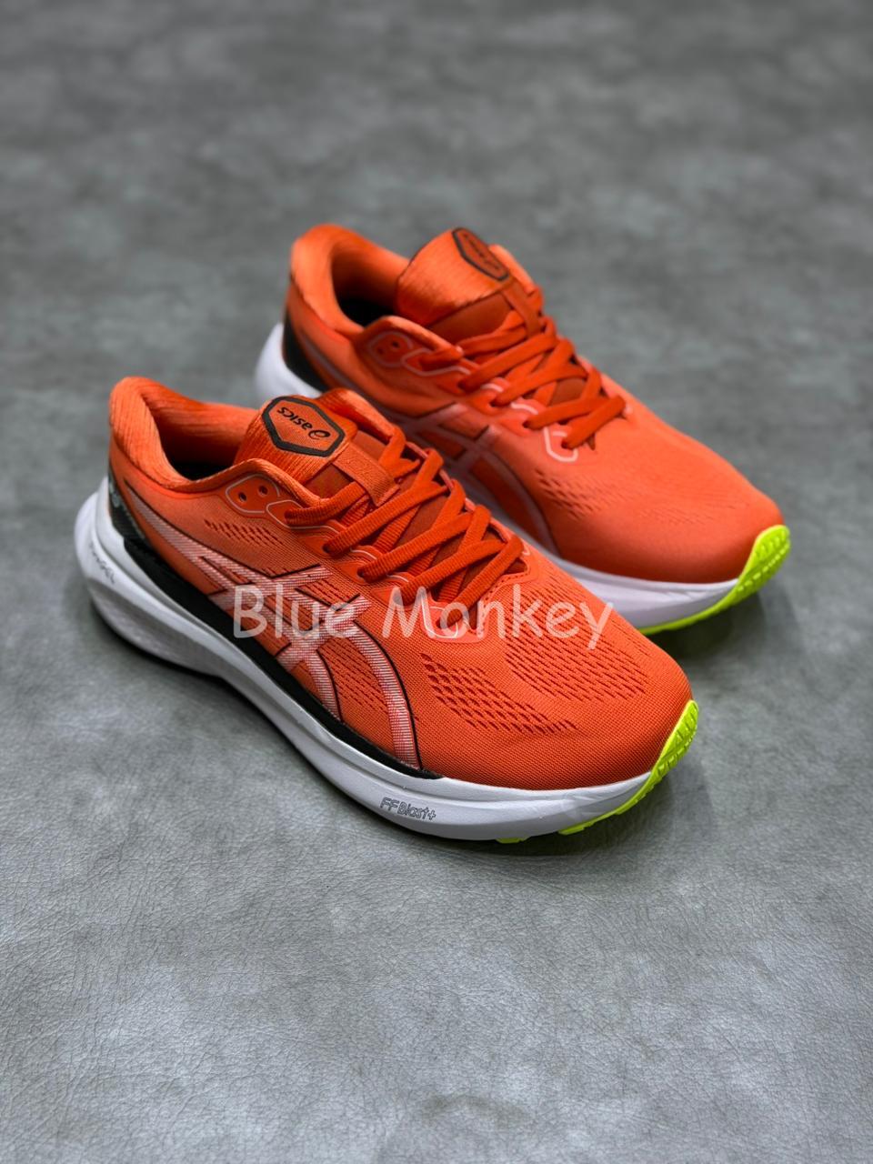 Asics Gel Kayano 30