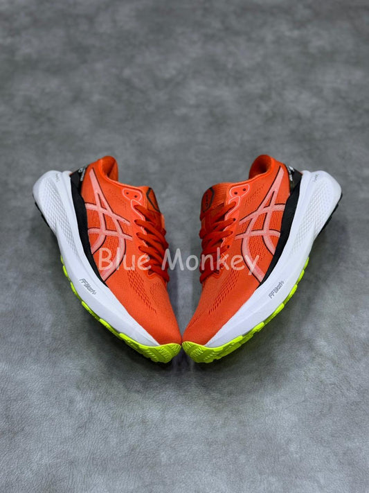 Asics Gel Kayano 30