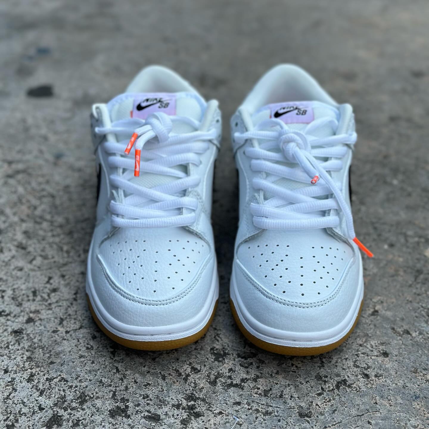 Nike Sb Dunk Low White