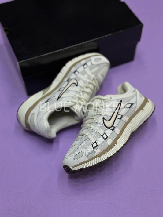 Nike Pegasus Br