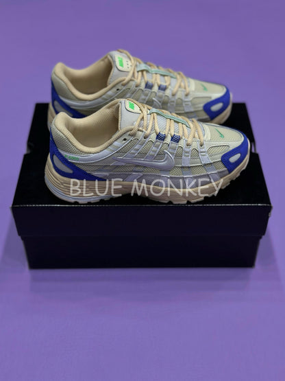 Nike P-6000