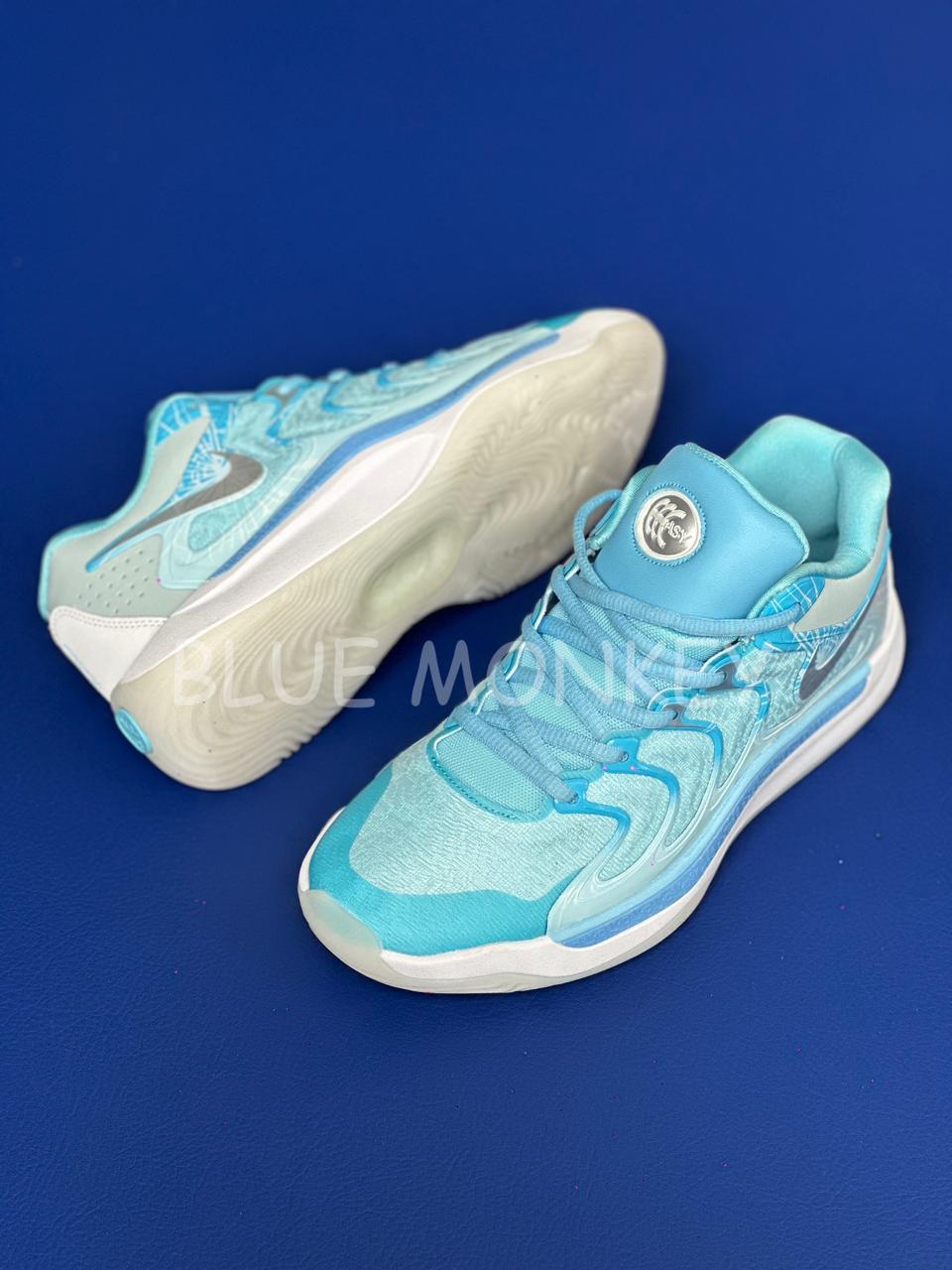 Nike KD 17 NRG Blue
