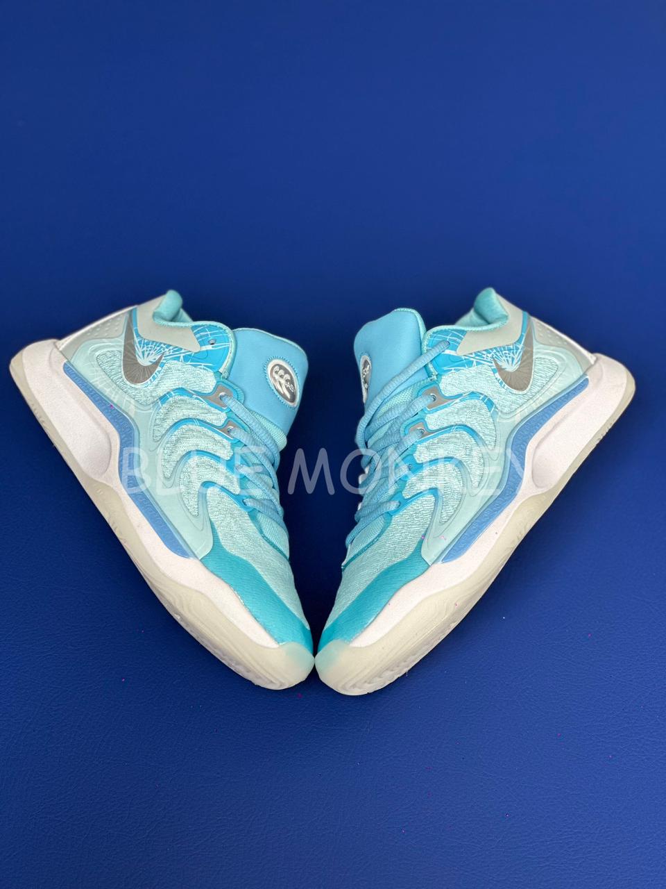 Nike KD 17 NRG Blue