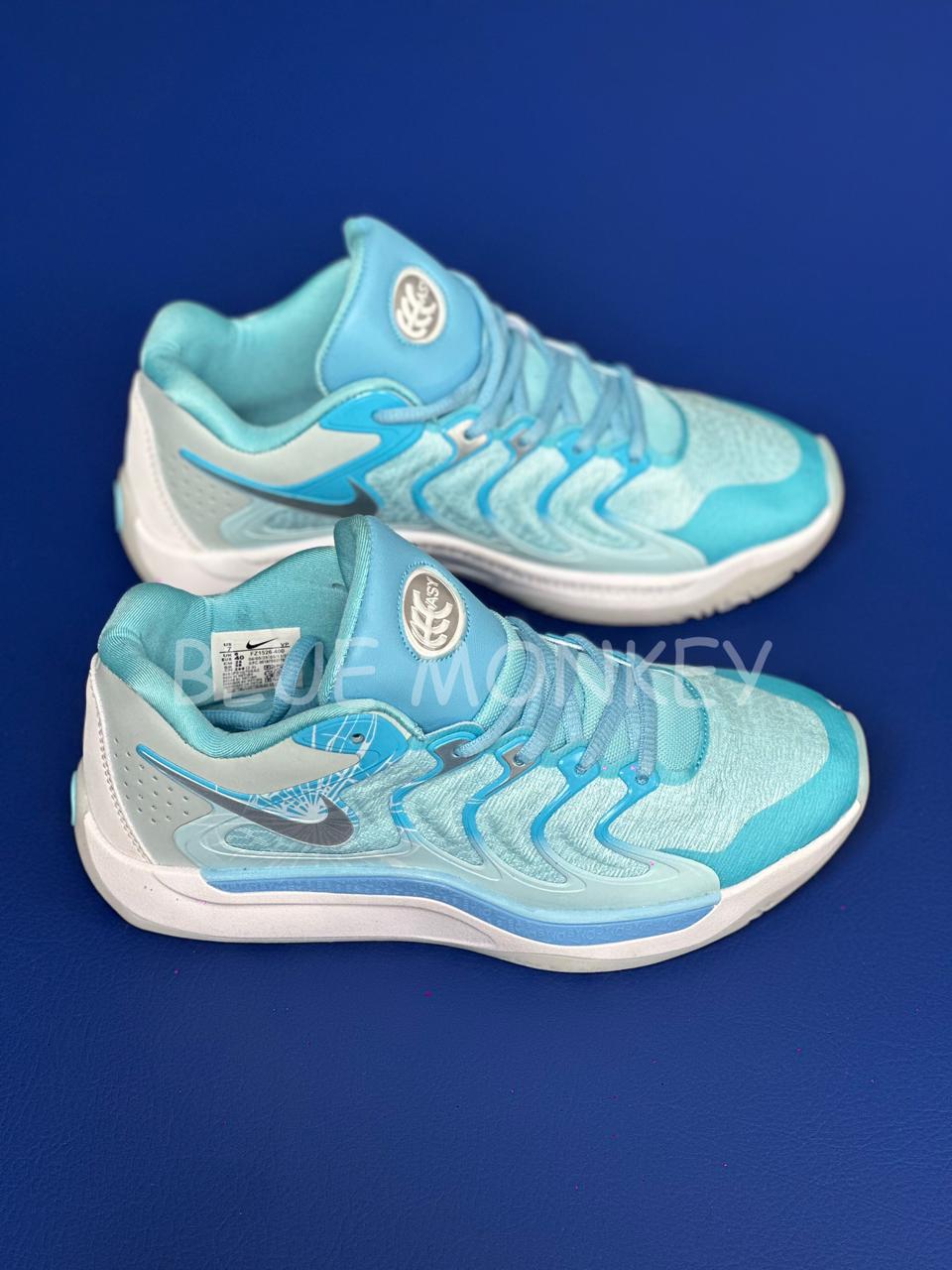 Nike KD 17 NRG Blue