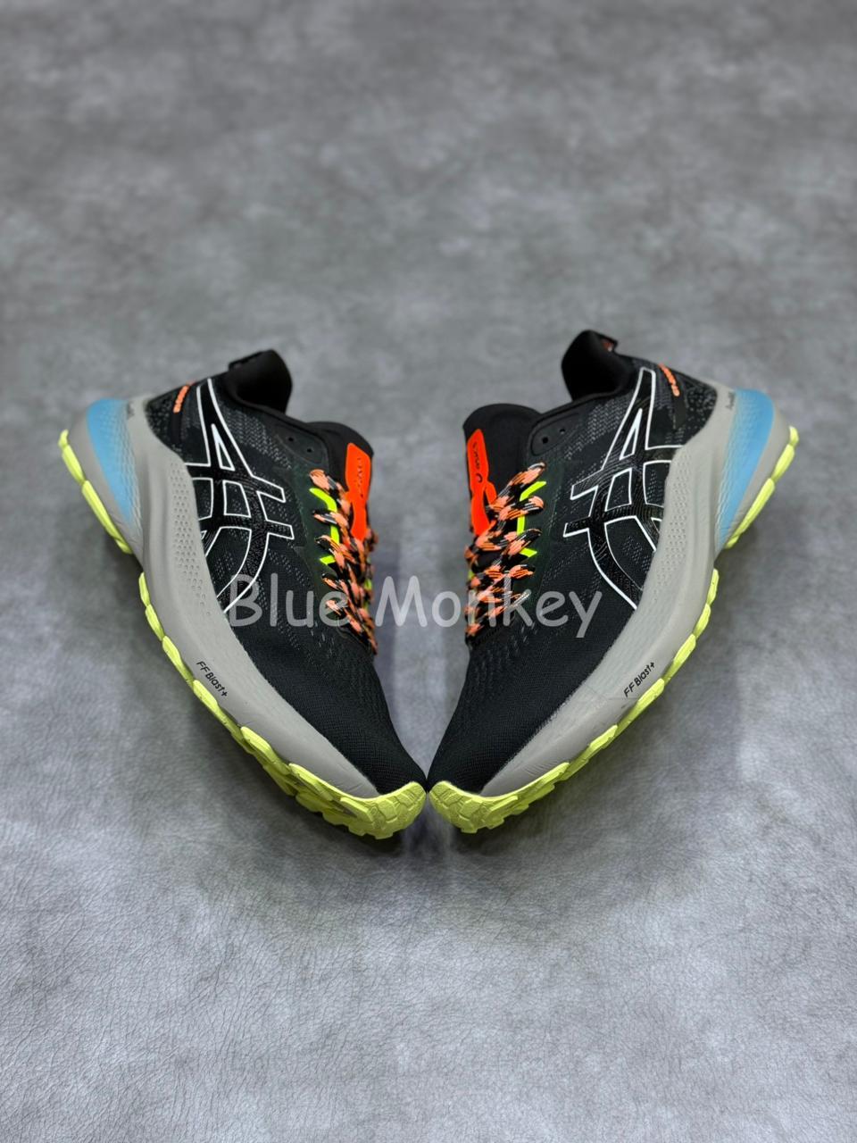 Asics GT 2000