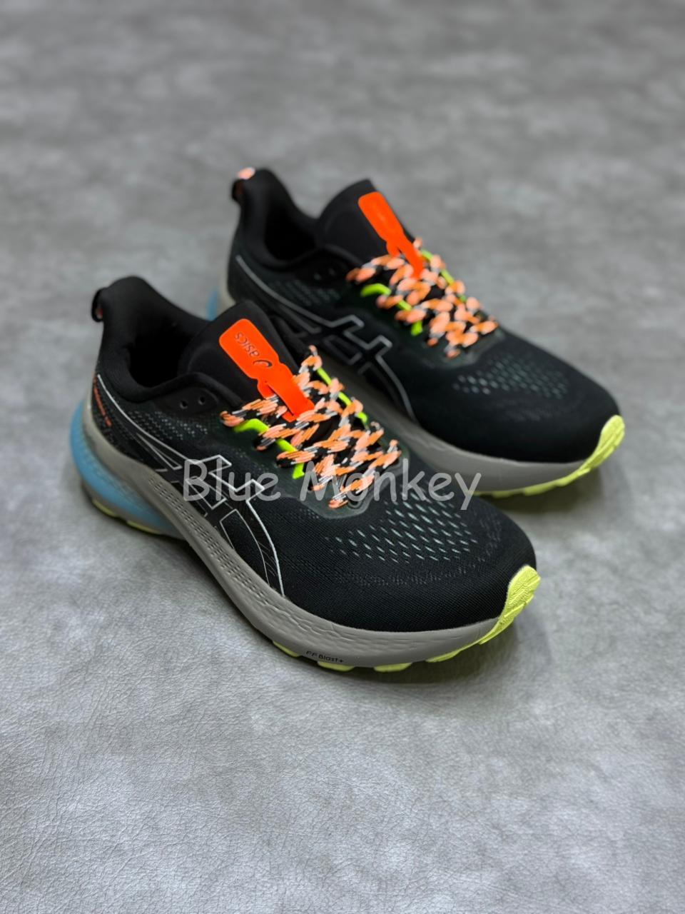 Asics GT 2000