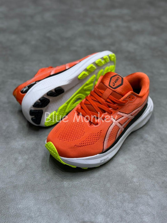 Asics Gel Kayano 30