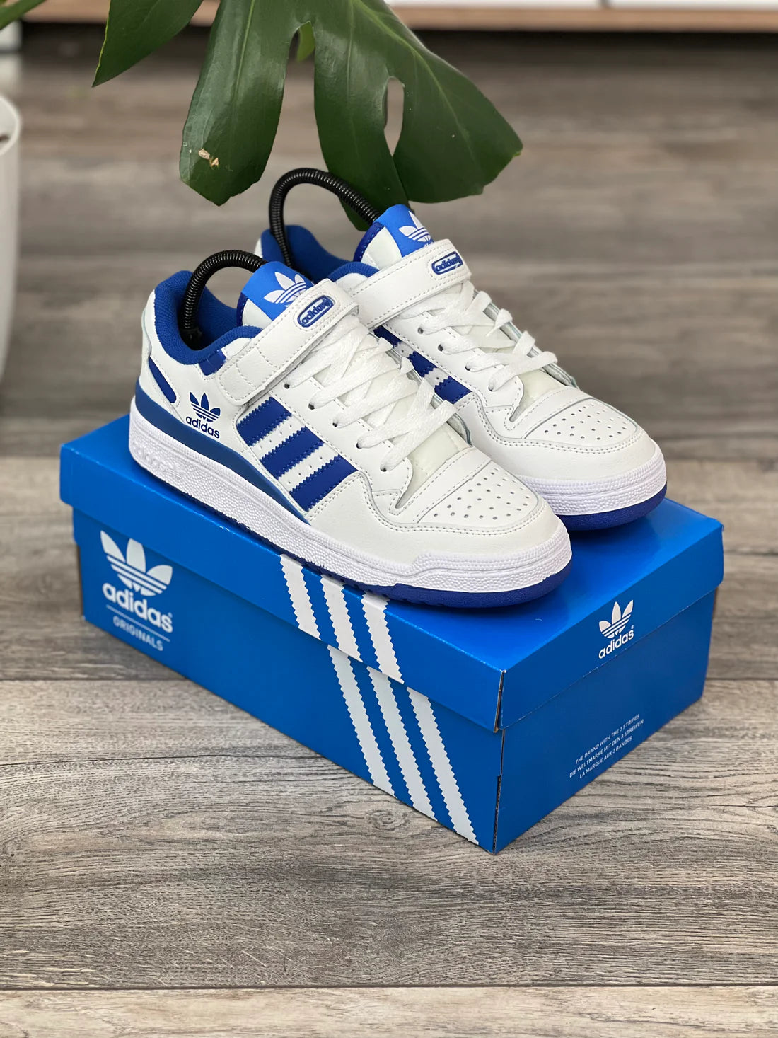 Adidas Forum Low